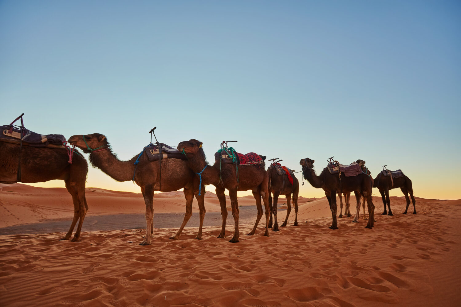 6 Days desert Tour from Agadir