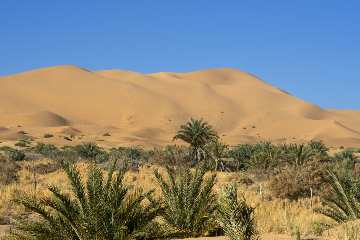 4 days desert tour from agadir to erg chegaga