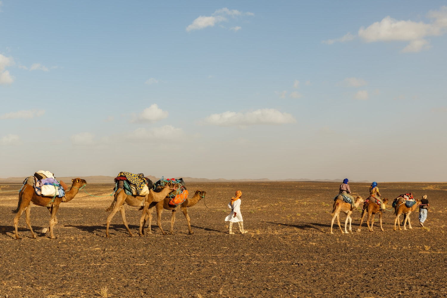Gita di un giorno nel deserto di Agafay