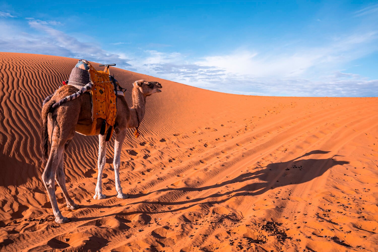 10 days Morocco tour from Marrakech