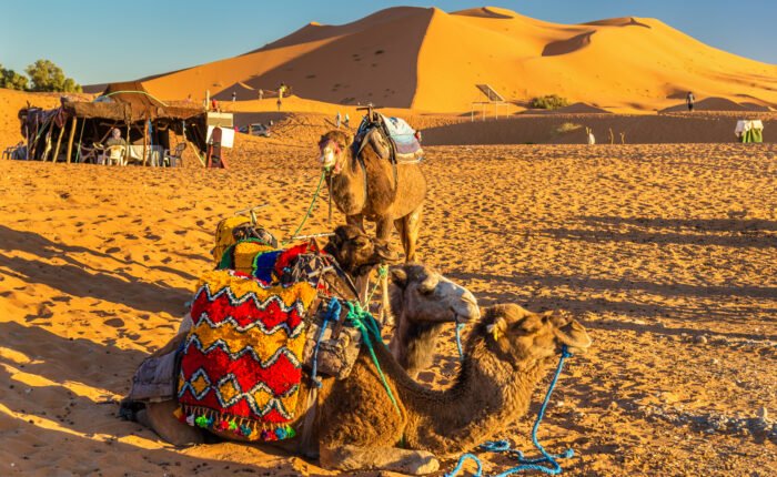 private sahara desert tour from Marrakech to Merzouga