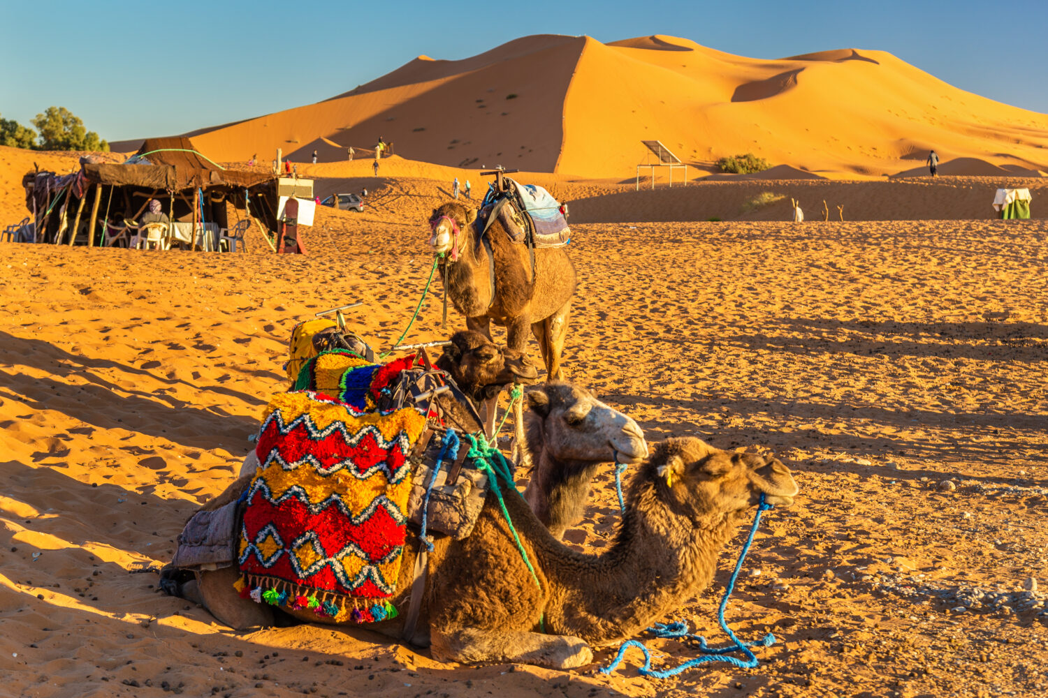 5 Days Marrakech to Fes Desert Tour