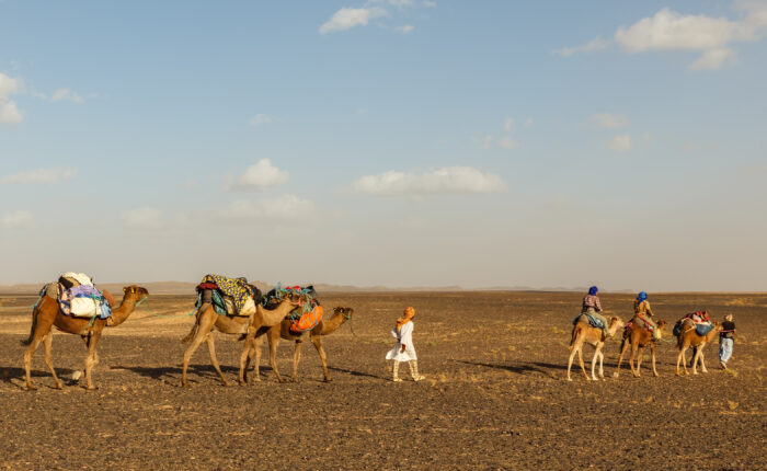 Day Trip To Agafay Desert From Marrakech