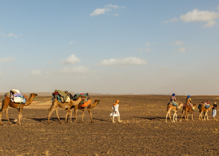 Day Trip To Agafay Desert From Marrakech