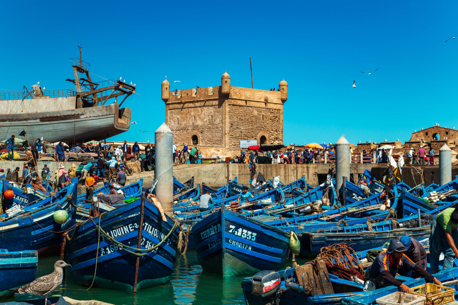 day trip to Essaouira from Marrakech