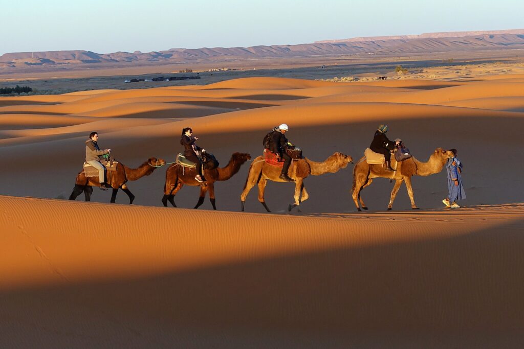 The Sunset Camel Ride in Merzouga