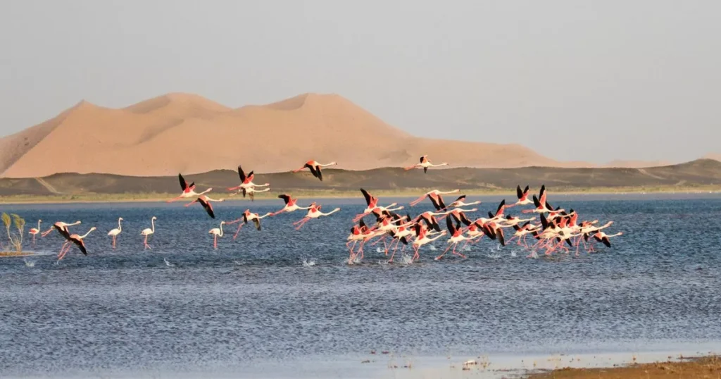 Lake of Dayet Srij